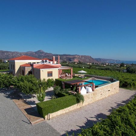 Cretan Vineyard Hill Villa Kato Kalesia Extérieur photo