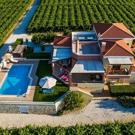 Cretan Vineyard Hill Villa Kato Kalesia Extérieur photo