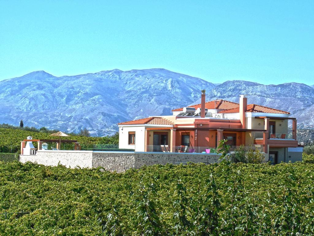 Cretan Vineyard Hill Villa Kato Kalesia Extérieur photo