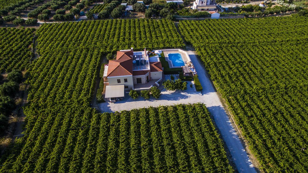 Cretan Vineyard Hill Villa Kato Kalesia Extérieur photo
