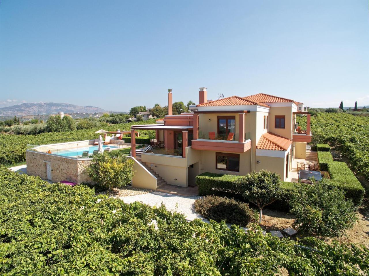 Cretan Vineyard Hill Villa Kato Kalesia Extérieur photo