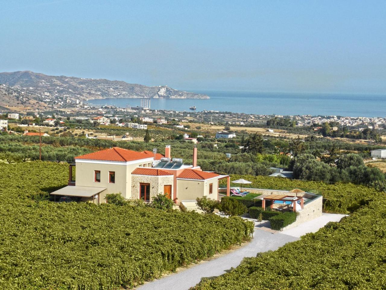 Cretan Vineyard Hill Villa Kato Kalesia Extérieur photo